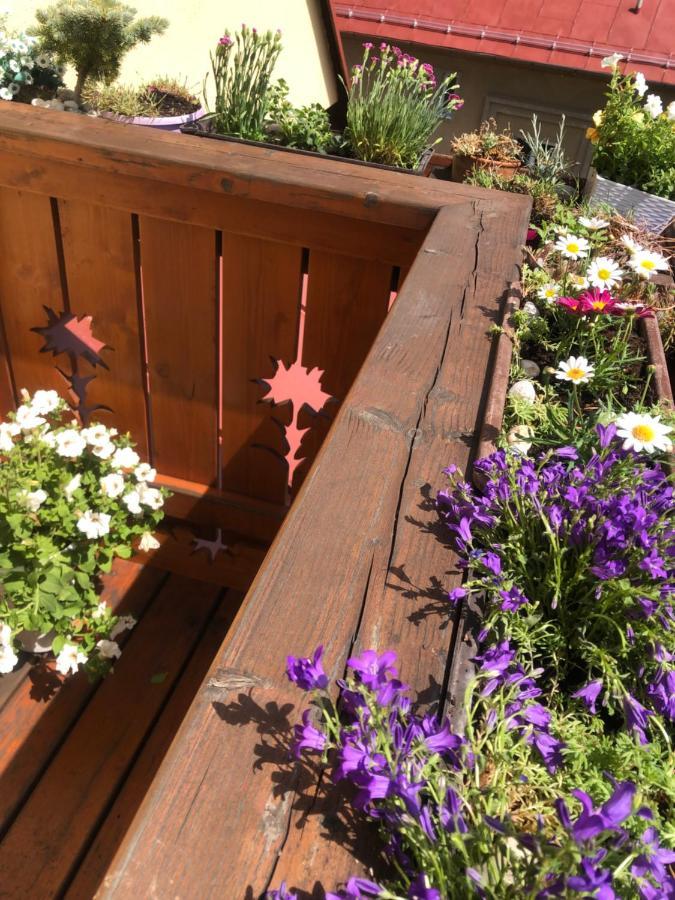 Apartman Relax Vysoké Tatry Buitenkant foto